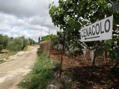 Il �Cenacolo�: si chiama cos� la chiesetta domestica di Lodovico. A indicarcela un grande cartello bianco posto all�inizio di una stradina sterrata di via Santa Croce, al confine sud di Valenzano sulla strada per Adelfia